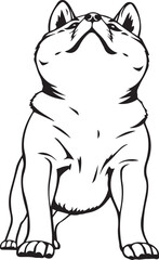Shiba Inu dog. Hand drawn vector illustration