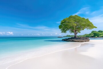 Serene tropical beach with lone tree