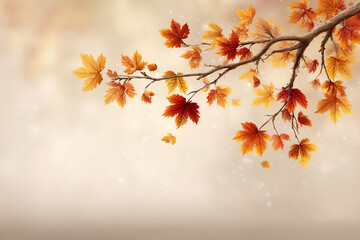  falling autumn leaves branch,