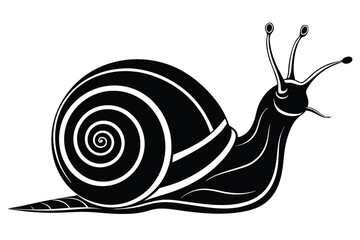 Striking Black Snail with Intricate Shell Swirls on a Clean White Backdrop