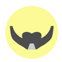 Moustache and Beard Combo Vector Flat Icon Design