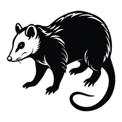 vector image of a rat