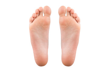 feet isolated on white background. Feet heels