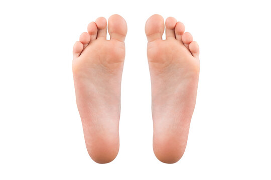 feet isolated on white background. Feet heels