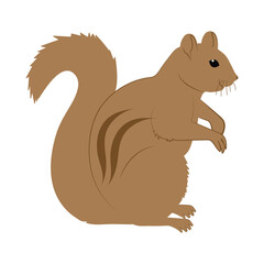 Color icon for squirrel