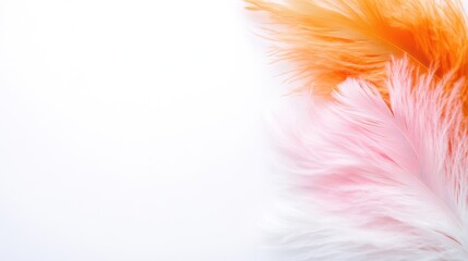 Pink and Orange Feathers Soft Minimalist Style High-Resolution Soft Lighting Corner Composition Delicate Texture Elegant Arrangement White Background Pastel Warm Tones Perfect for Branding Materials