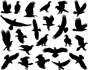 Collection of silhouettes of bald eagle bird
