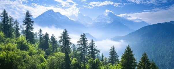 Naklejka premium Forest vista with towering mountains under blue sky on a foggy day