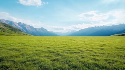 Fototapeta premium Expansive meadow stretches between towering mountains under a vibrant blue sky. Lush green grass fills the foreground, leading to a vista of majestic peaks