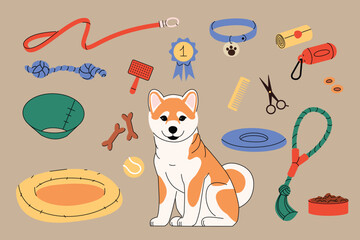 Illustration of a Shiba Inu dog surrounded by pet supplies including toys, treats, collar, leash, grooming tools, and a bed. Concept for dog care, training, and pet essentials. Vector illustration
