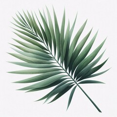 Fototapeta premium Watercolor illustration of a green palm leaf, isolated on a white background.