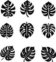 Fototapeta premium set of black silhouettes of tropical leaves new 2025 trendy unique
