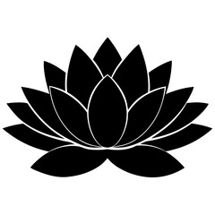 Water lily silhouette isolated on white background