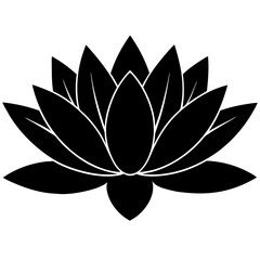 Water lily silhouette isolated on white background