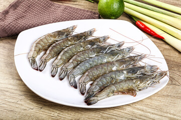 Raw fresh King Tiger prawn