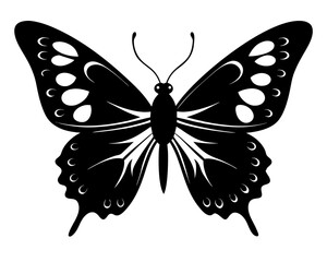 Butterfly Silhouette Vector & Elegant Insect SVG