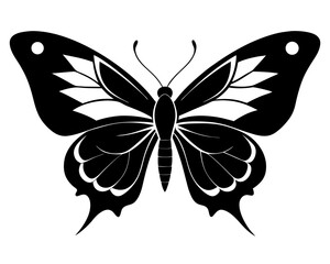 Butterfly Silhouette Vector & Elegant Insect SVG