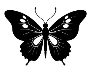 Butterfly Silhouette Vector & Elegant Insect SVG