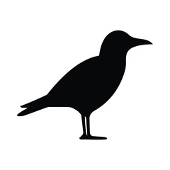 Obraz premium Seagull bird silhouette vector art, icon