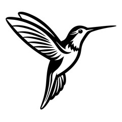 hummingbird flying Silhouette