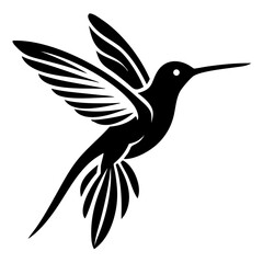 hummingbird flying Silhouette