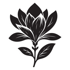 Elegant Magnolia Flower Blossom Vector Illustration Silhouette Design