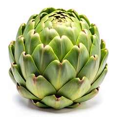 One artichoke isolated on white background