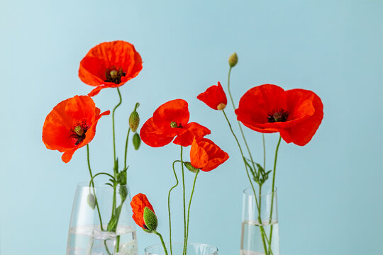 Still Life with Red Poppies Close-Up