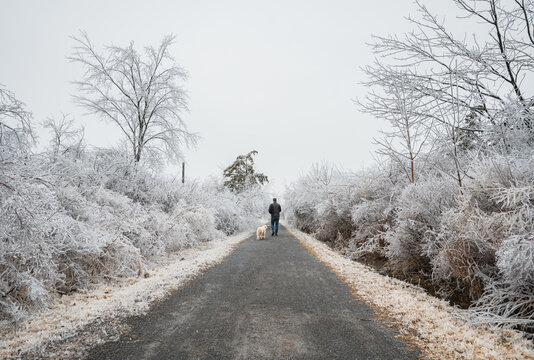 Man walking with dog on trail through ice covered trees in winter.