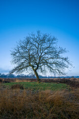 De Loonse en Drunense Duinen - Niederlande