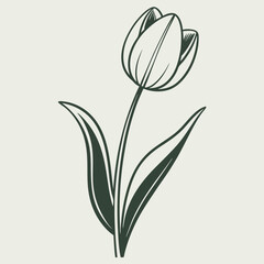 Obraz premium Elegant Monochrome Tulip Illustration, Botanical Line Art Drawing