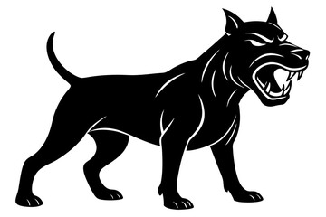 black and white dog