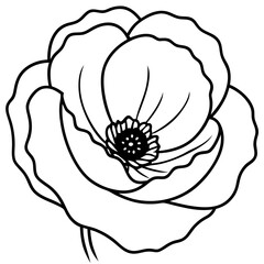 hand drawn flower