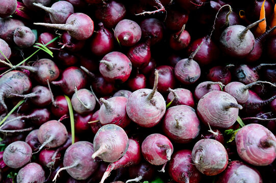 Beetroot is a root vegetable known for its deep red-purple color and earthy flavor. It's rich in nutrients like folate, fiber, and antioxidants, and is often used in salads, juices, and soups.