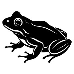 frog on white background