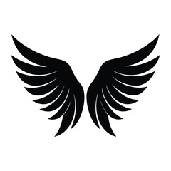 Obraz premium classic beautiful angel wings abstract wing set.