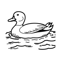 duck on white background