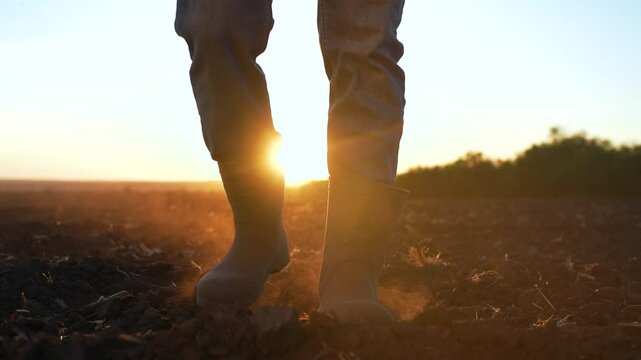 Farmer at sunrise. Farmer begins work on field. Ground prepared for harvest. Early morning routine farmer. Agriculture lifestyle and dedication. Farmer work preparing harvest. Rural farming at sunrise
