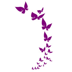 butterfly vector 