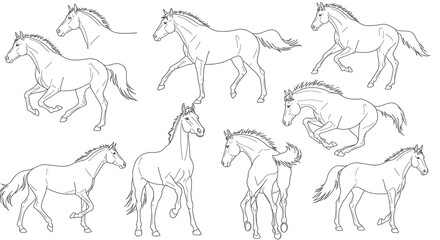 Collection of Elegant Line Drawings: Horses in Motion and Repose