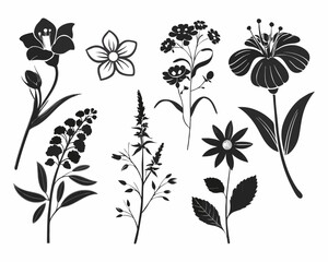 Vector black lotus icons set on white background. Lotus plant. Lotus flower and outline vector