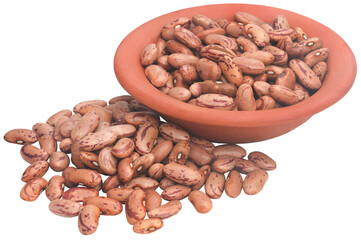 Pinto bean or speckled bean