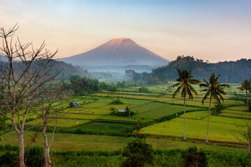 Fototapeta premium Mount Agung Bali