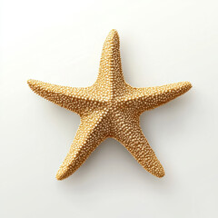 A Starfish with textured surface on white background, evoking summer coastal vibe