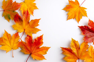 Vibrant autumn leaves scattered on a white surface showcasing fall colors and their natural beauty
