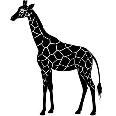 Giraffe Silhouette Line Art Vector Illustration