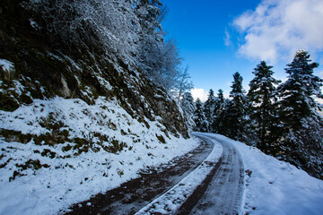 Snowy Mountain Road Through Pine Forest in Greece