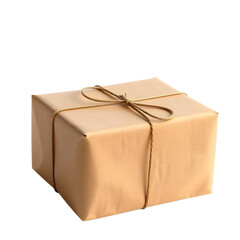 gift box wrapped in brown paper and isolated on white
