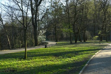 Obraz premium A beautiful park with trees and roads for walking