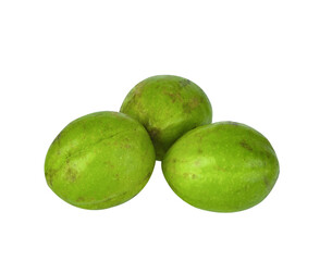 Chebulic Myrobalans, Myrolan Wood transparen png (Terminalia chebula Retz.) Fruit, medicinal properties.